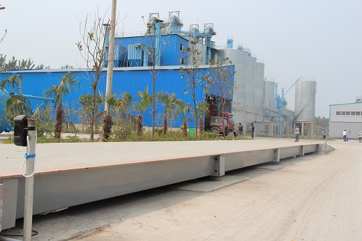 IMG_6475.JPG IMG_6475.JPG